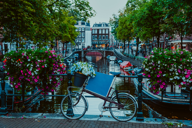 Vibrant flowers and bicycle bike on a bridge of amsterdam at early evening twilight on sbi 336667208